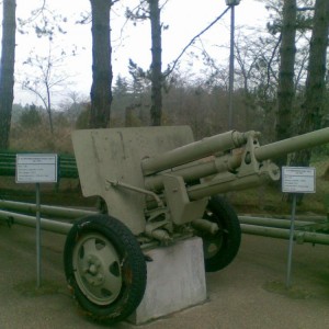 img_73244_21129.jpg
