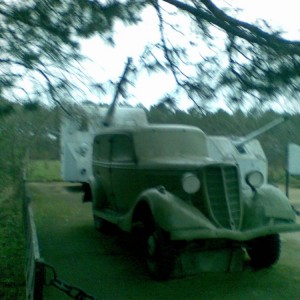img_73268_21129.jpg