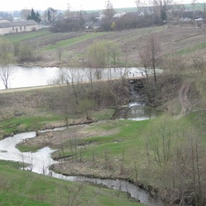 img_76961_11292.jpg