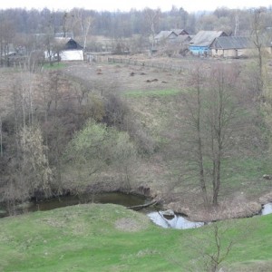 img_76962_11292.jpg