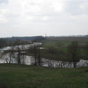 img_76965_11292.jpg