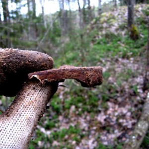 img_77138_4133.jpg