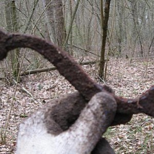 img_80274_4133.jpg