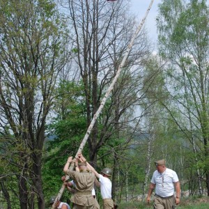 img_81466_13332.jpg