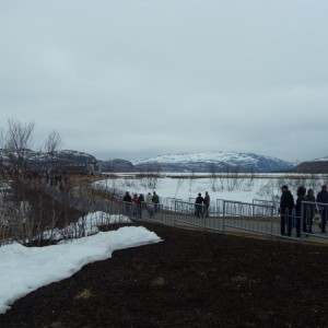 img_81634_26334.jpg