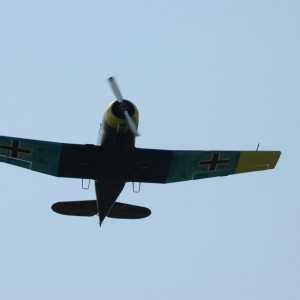 img_81759_13332.jpg