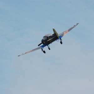 img_81768_13332.jpg