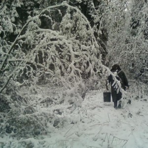 Сезон 2009