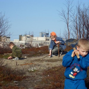img_84362_26334.jpg