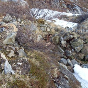 img_86466_26334.jpg
