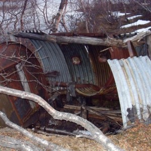 img_86493_26334.jpg