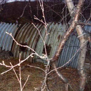 img_86497_26334.jpg