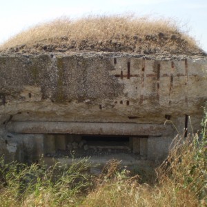 ДОТЫ КРЫМА
