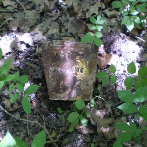 img_86928_26364.jpg