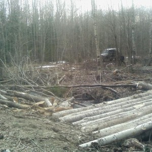 img_88166_8891.jpg