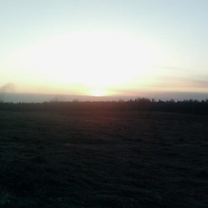 img_88170_8891.jpg