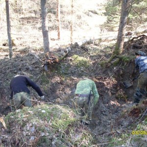img_88174_8891.jpg