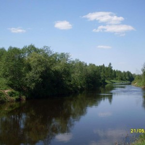 img_88197_8891.jpg