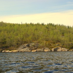 img_88492_26334.jpg