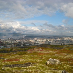 img_88497_26334.jpg
