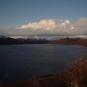 img_88499_26334.jpg