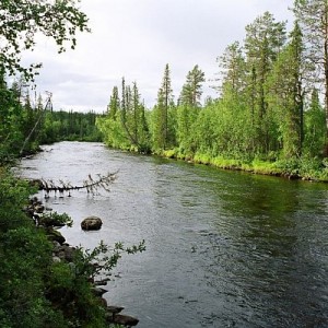 img_88508_26334.jpg