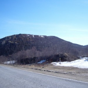 img_88525_26334.jpg