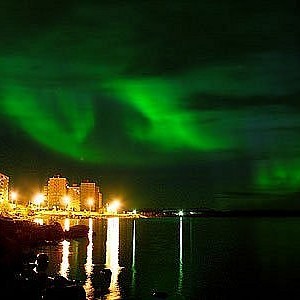 img_88529_26334.jpg