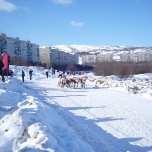img_88531_26334.jpg