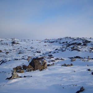 img_88536_26334.jpg