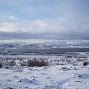 img_88538_26334.jpg