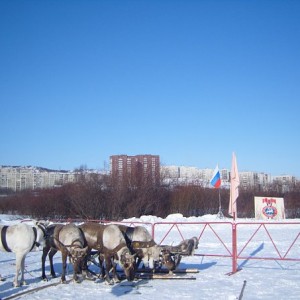 img_88539_26334.jpg