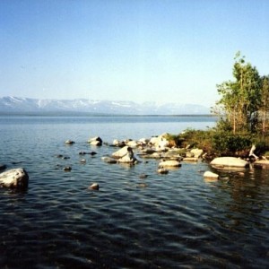 img_88541_26334.jpg
