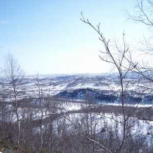 img_88546_26334.jpg