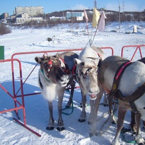 img_88562_26334.jpg