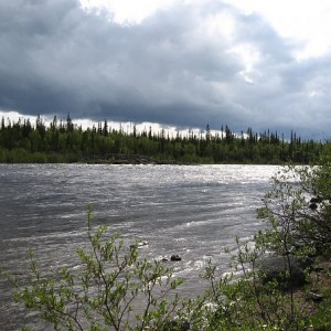 img_88564_26334.jpg