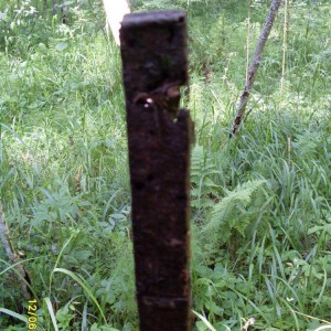 img_90467_8891.jpg