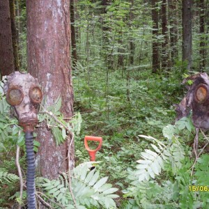 img_90479_8891.jpg