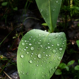 img_90486_8891.jpg