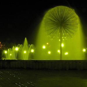 img_95752_25720.jpg