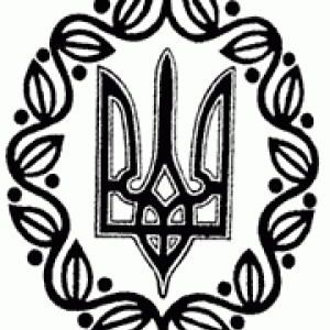 img_97013_31615.gif