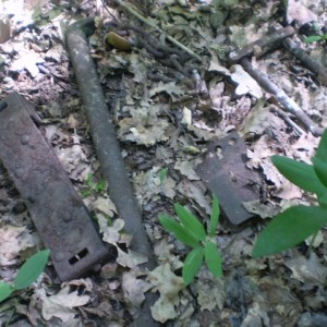 img_101162_26364.jpg
