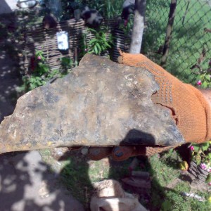 img_105003_24509.jpg