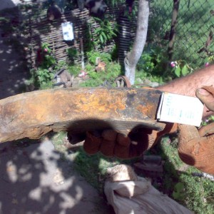 img_105004_24509.jpg