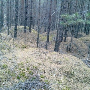 img_106554_12523.jpg