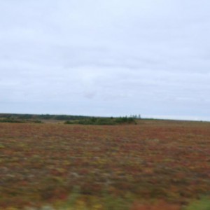 img_107967_8392.jpg