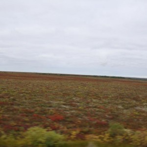 img_107968_8392.jpg