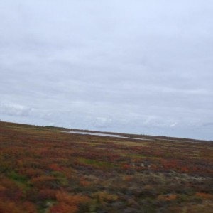 img_107970_8392.jpg