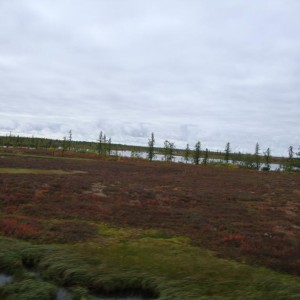 img_107972_8392.jpg
