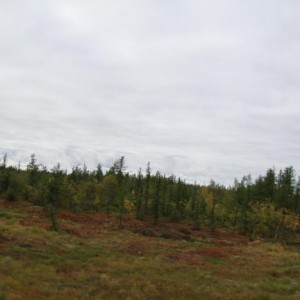 img_107976_8392.jpg
